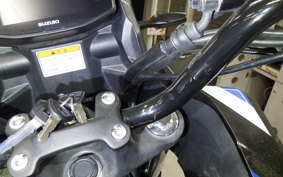 SUZUKI Vｽﾄﾛｰﾑ250SX 2014 EL11L