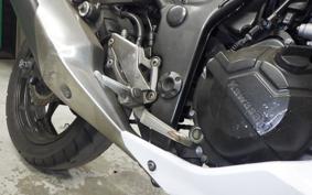 KAWASAKI Z250 2022 ER250C
