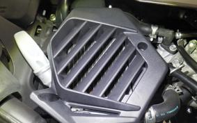 HONDA BENLY 50 2026 AA05
