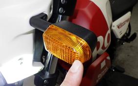 OTHER +ENFIELD ｽｸﾗﾑ411 2024