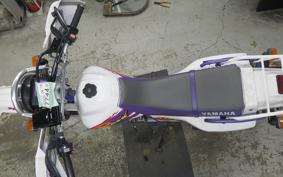 YAMAHA TT250R RAID 2024 4GY