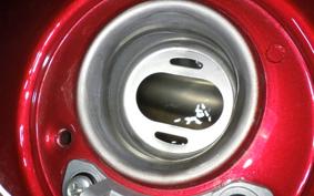 KAWASAKI W800 2022 EJ800E