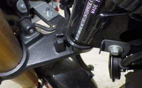 KAWASAKI Z125 PRO 2023 BR125H