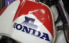 HONDA XL600R PHARAOH 1986 PD04