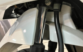 YAMAHA XSR900 2020 RN56J