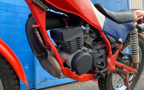 HONDA TLM50 AD07