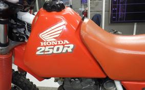 HONDA XR250R