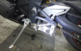 TRIUMPH DAYTONA 675 R 2015