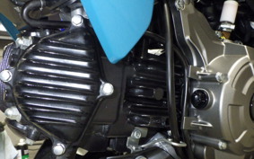 KAWASAKI Z125 PRO BR125H