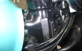 TRIUMPH SCRAMBLER 900 2025