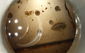 KAWASAKI KSR-2 2016 MX080B