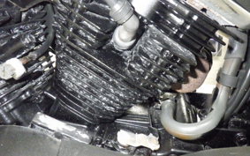 YAMAHA DRAGSTAR 250 2024 VG05J