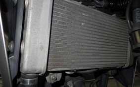 HONDA CB250RA 2024 MC52