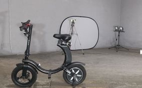 OTHER MINI BIKE ..
