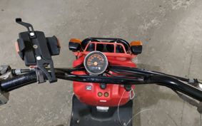 HONDA ZUMAR AF58