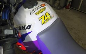 YAMAHA TT250R RAID 2009 4WA
