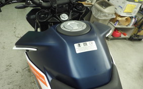 KTM 250 ADVENTURE 2025