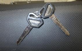 KAWASAKI KLX250D TRACKER 2018 LX250E