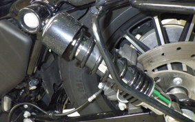 HARLEY XL883N 2015