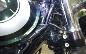 KAWASAKI W800 2020 EJ800B