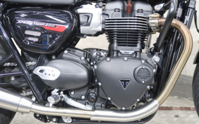 TRIUMPH SPEED TWIN 900 2024 DAD74G