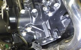 KAWASAKI Z900RS 2021 ZR900C