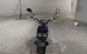 HONDA ZUMAR AF58