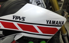 YAMAHA WR250R 2019 DG15J