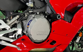 DUCATI PANIGA-REV2 2020 1H00