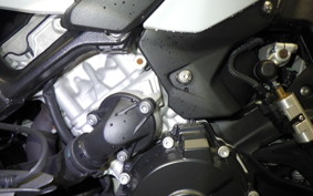 BMW S1000XR 2022