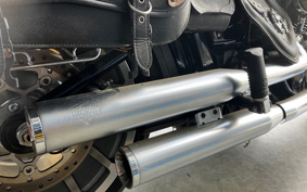 HARLEY FLFBS 2019 YGK