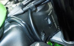KAWASAKI NINJA ZX-6R A 2021 ZX636G