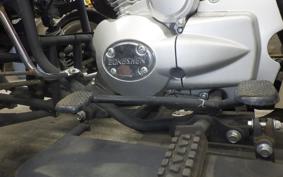 OTHER +UNREGISTERED MODEL by BDS TRIKE250 GW