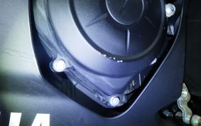 YAMAHA YZF-R25 2014 RG43J