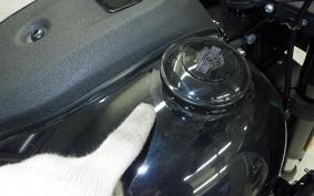 HARLEY FXLRST1920 2023