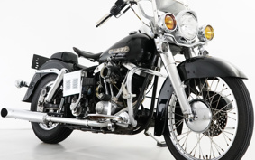 HARLEY FLH1200 2019 179