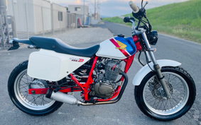 HONDA FTR223 MC34