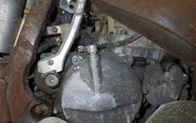 SUZUKI RMX250 2009 PJ12A