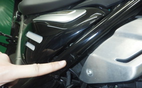 TRIUMPH SPEED400 2024