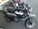 Фото Honda MONKEY 125 ABS 2019 с японского аукциона