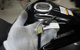 KAWASAKI NINJA 1100SX 2025 ZXT10H