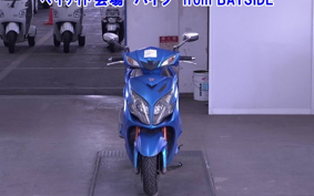 OTHER  RACING  KING 180