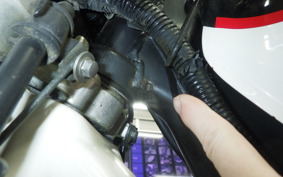 KAWASAKI SUPER SHERPA 2023 KL250G