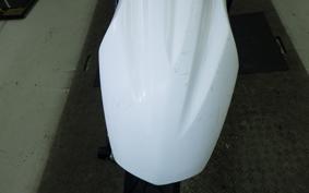 YAMAHA WR250X 2021 DG15J