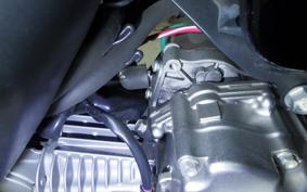 HONDA MONKEY 125 2025 JB03