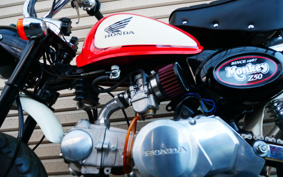 HONDA MONKEY Z50J