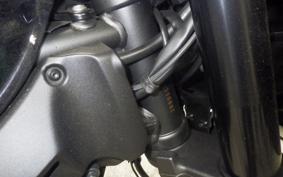 KAWASAKI Z900RS CAFE 2020