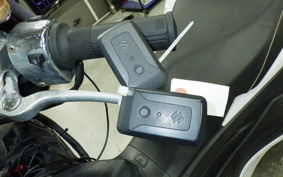 SUZUKI SKYWAVE250SS-2 TRIKE 2025 CJ46A