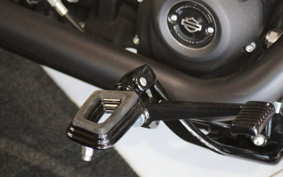 HARLEY FXLRS 2025 YWK
