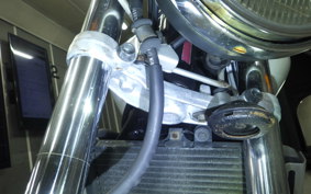 HONDA HORNET 250 2025 MC31